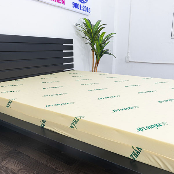 Lợi ích nệm cao su non Thắng Lợi