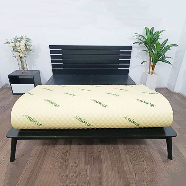 Thông tin sản phẩm nệm cao su non massage Thắng Lợi