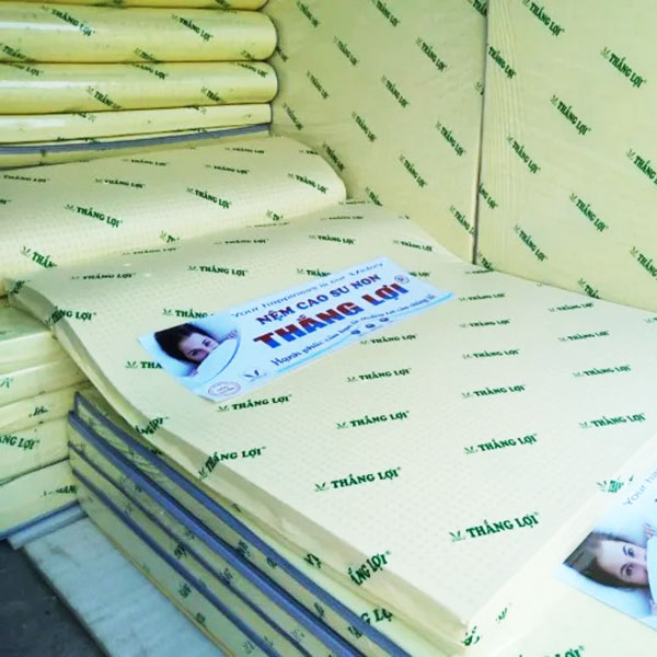 Đặt mua nệm cao su non Thắng Lợi chính hãng tại Kido