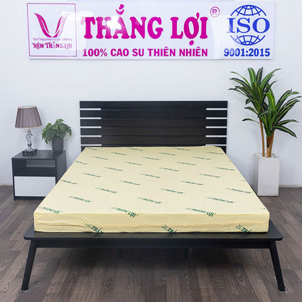 Nệm cao su non Thắng Lợi