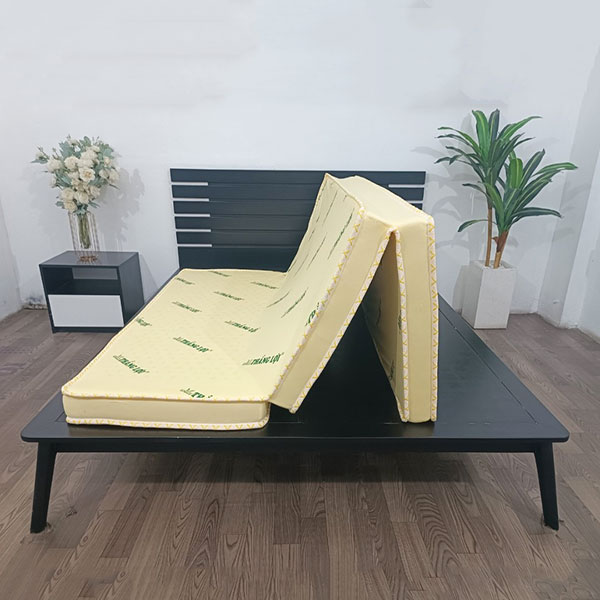 Điểm nội bật nệm cao su non Thắng Lợi
