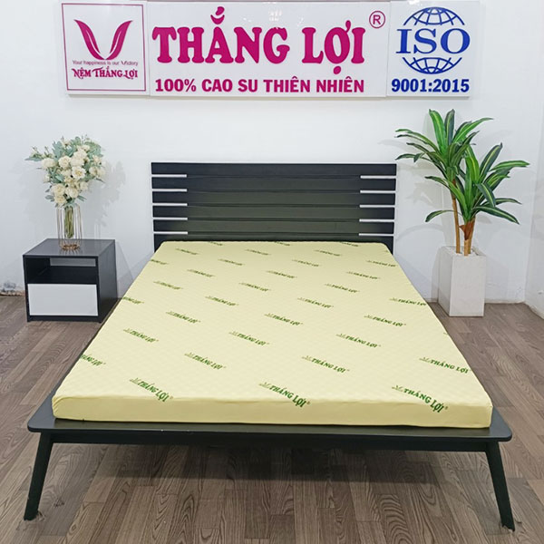 Nệm cao su non massage Thắng Lợi