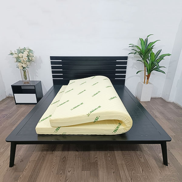Nệm cao su non massage Thắng Lợi