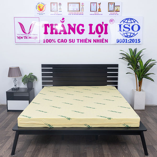 Nệm cao su non Thắng Lợi
