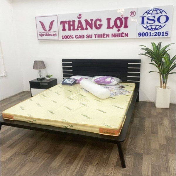 Nệm cao su non Thắng Lợi