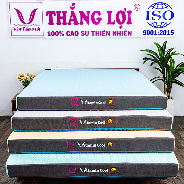 Nệm điều hòa Vitamin Cool Grey Thắng Lợi