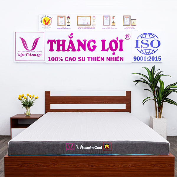 Nệm điều hòa Vitamin Cool Grey Thắng Lợi