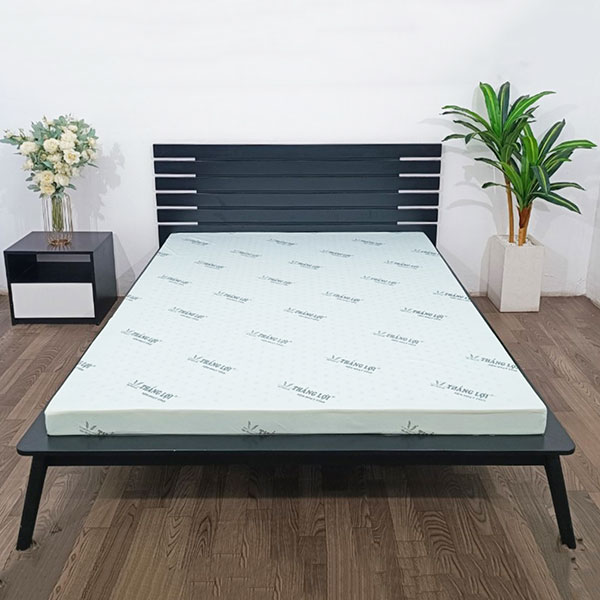 Nệm cao su non hoạt tính Thắng Lợi