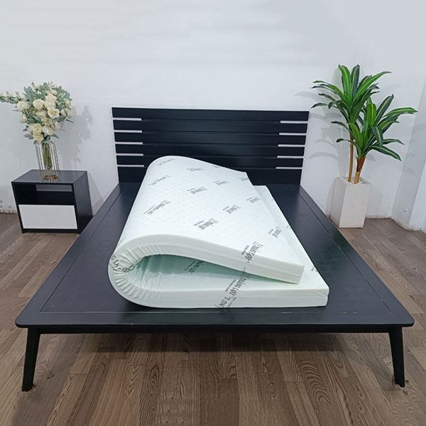 Nệm cao su non hoạt tính Thắng Lợi
