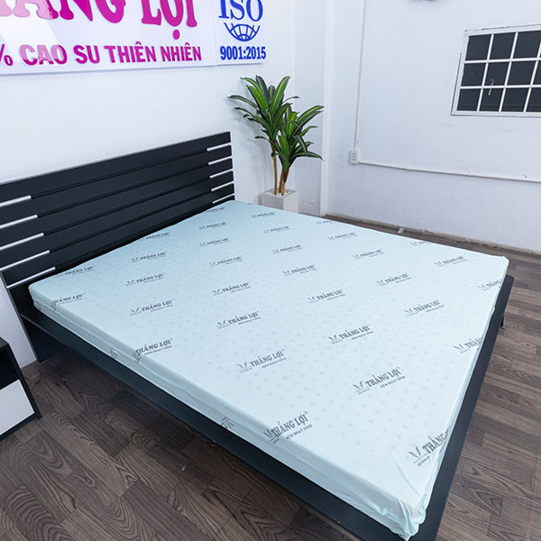 Nệm cao su non hoạt tính Thắng Lợi
