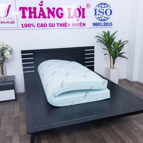 Nệm cao su non hoạt tính Thắng Lợi