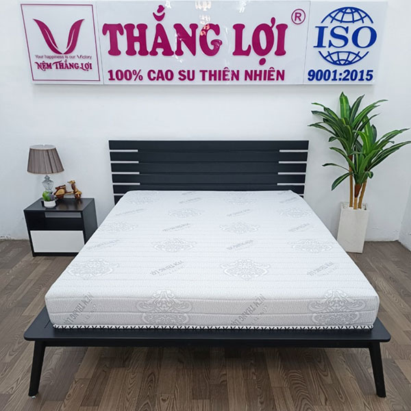 Nệm Memory Foam Thắng Lợi